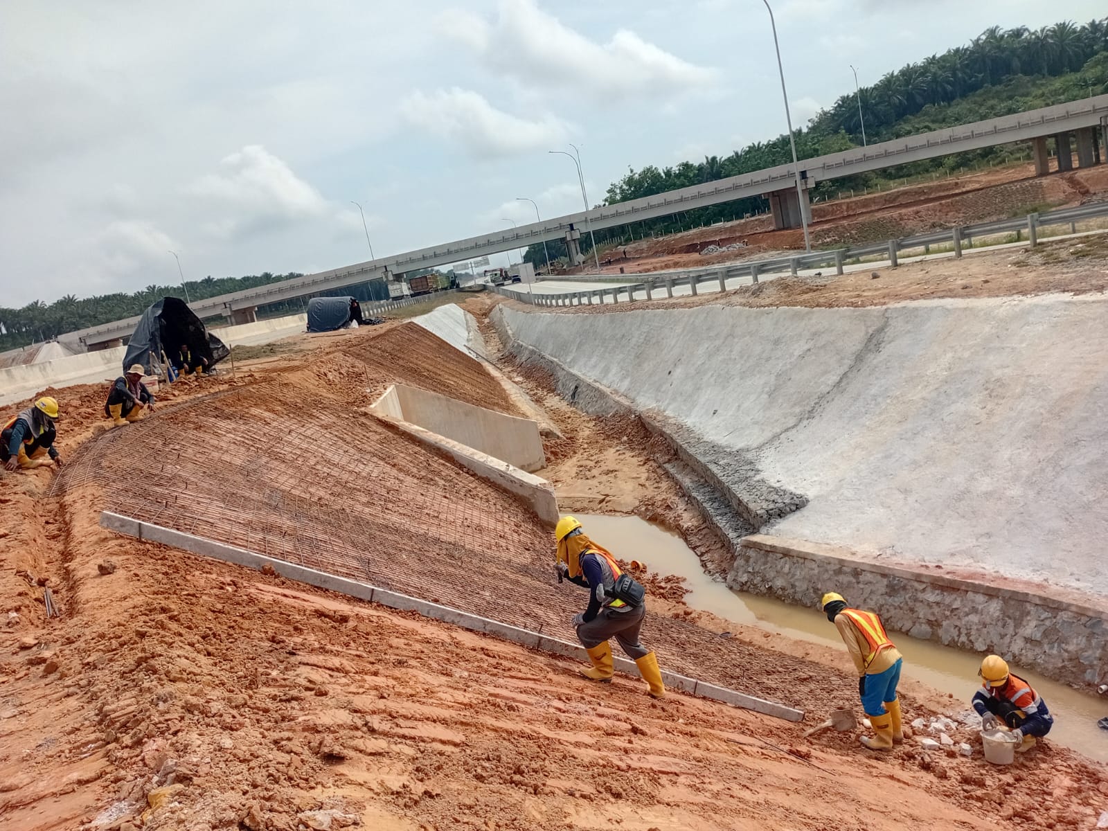 Dokumentasi proyek 12